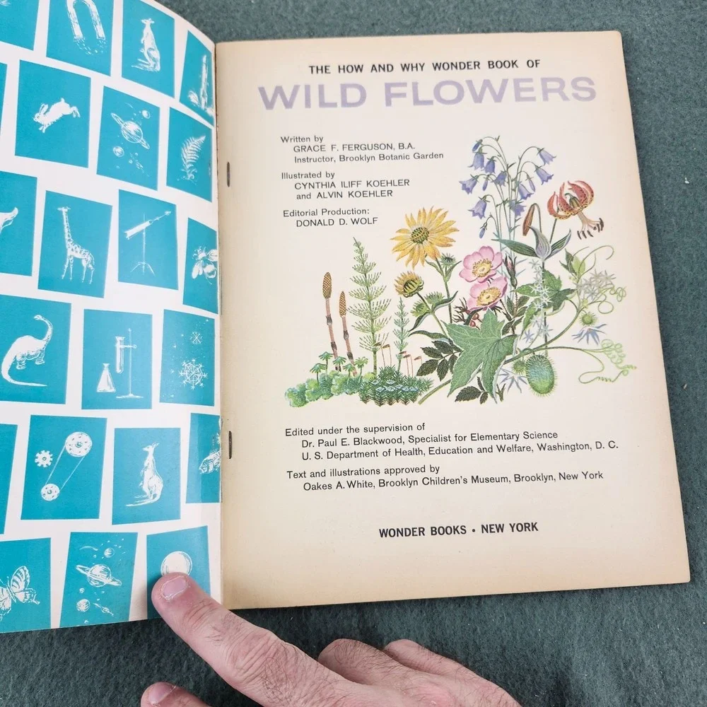 The How‎ and Why Wonder Book of Wild Flowers 1962 Vintage Children's Book